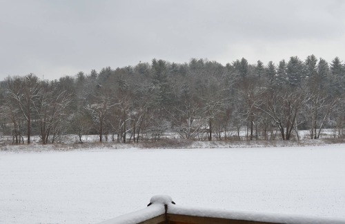 Hendersonville Cabin | Custom Cabin Located In North Carolina's Best Kept Secret