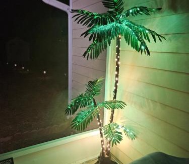 Tallahassee Apartment | Cute Comfy Studio Prime Location