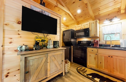 Otto Cabin | Dog-friendly riverfront cabin with mtn & river views, firepit, grill, patio, W/D