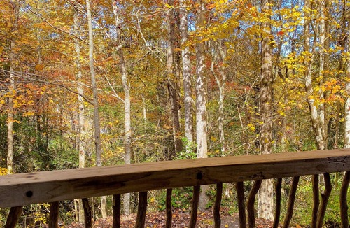 Murphy Cabin | Easy Access Cabin deep in the trails but very close to the city!