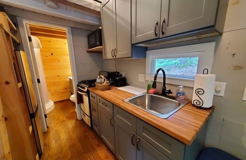 Suches Cottage | Fawns Thicket-Chanterelle Tiny House
