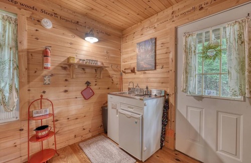Suches Cabin | Ferngully Cove - 3 BRs, Sleeps 12, Game Room, Private Cottage