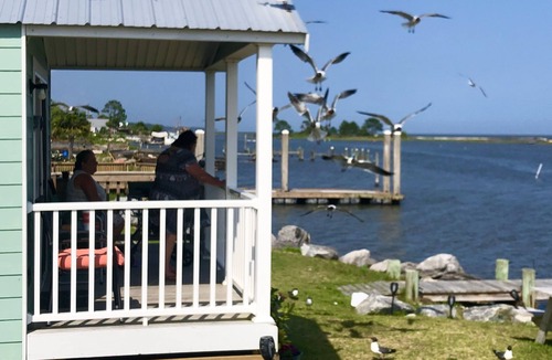 Eastpoint Cottage | (Fishing from dock) Boat launch, seafood market & bait-tackle shop next door.