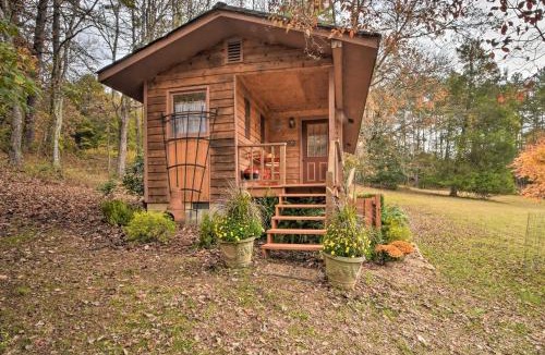 Murphy House | Forest Fantasy: Pet-Friendly Smoky Mtn Escape!