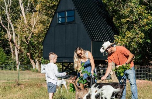 Newport Other | Fountainside A Frame TreeHouse Romantic Nature Farm Getaway