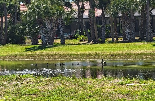 Iona House | Great location. Near beaches, shopping, restaurants.