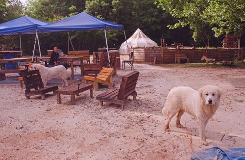 Tallahassee RV Rental | Holt’s Hideaway GLAMP Farmstay