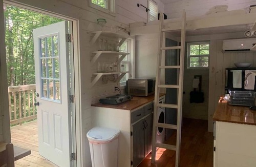 Suches Cottage | Honey Bear Haven - Porcini - Creekside Tiny House #2