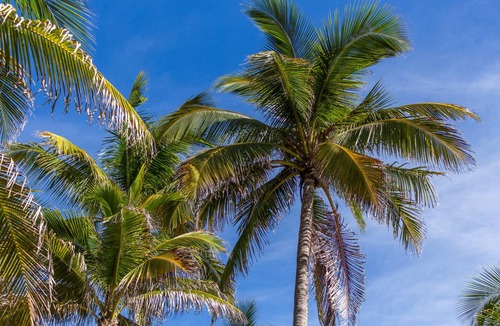 South Beach Hostel | Hostel ∙ 10 guests