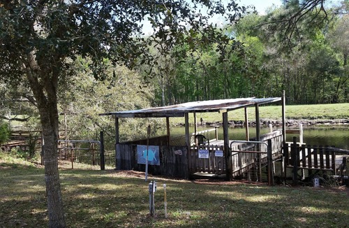 Hernando Cottage | Hosting the NFL Sunday Ticket, Your ultimate weekend destination, La Fish Camp.