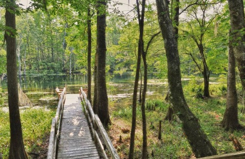 Crawfordville House | House ∙ 2 bedrooms ∙ 4 guests