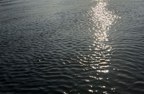 Satsuma Boat Rental | Houseboat on the St. John’s River. A true home away from home.