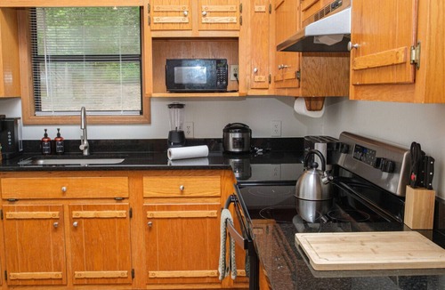Blairsville Cabin | King/Romantic/Fireplace/Privacy