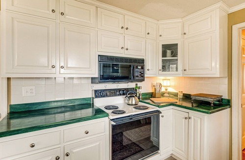 Leesburg House | Lakefront Leesburg Home w/Private Dock & Ramp!
