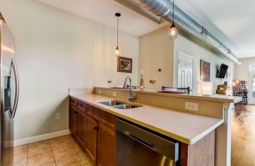 Springfield Condo | Large Loft w/Balcony, Shared Patio w/Hot Tub, BBQ