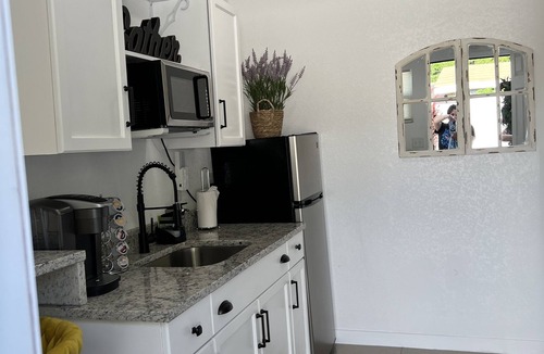 Tampa Apartment | little paradise