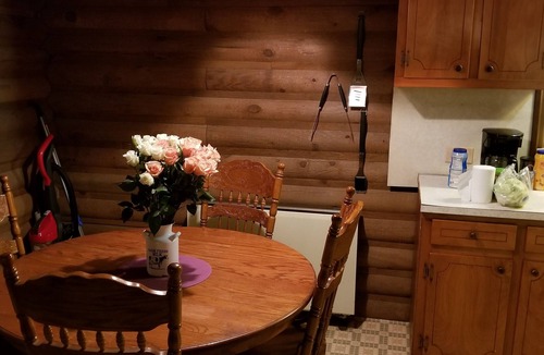 Somerset House | LOG Cabin, 5 miles from town, but very country setting