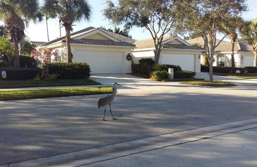Hobe Sound House | Lovely cottage in a golf gated community