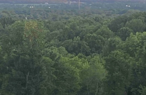 Wilson County House | Lucy at May Ridge - situated on 147Acres. Enjoy peace and serenity.