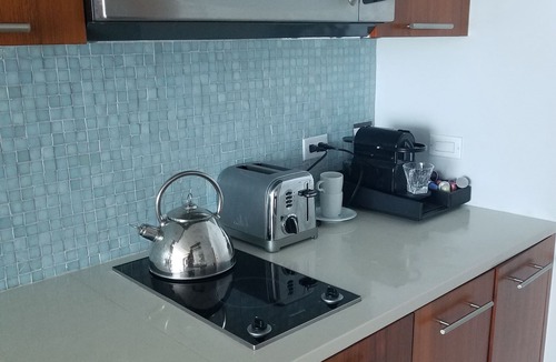 North Beach Apartment | LUXURIOUS 1 BR CONDO WITH OCEAN VIEW, POOL AND SPA