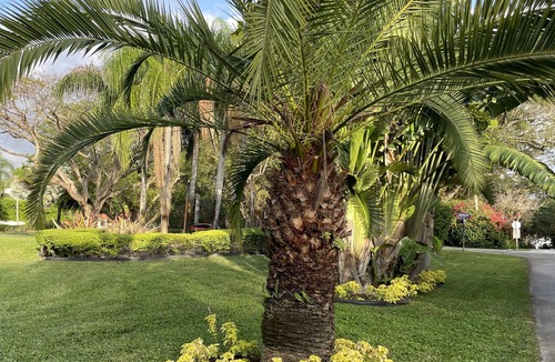 Palmetto Bay House | Luxury Estate In Historic Old Cutler Rd