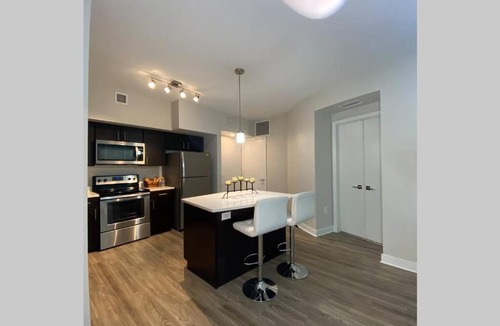 South Eola Apartment | LUXYRY CONDO IN THE HART OF DOWNTOWN