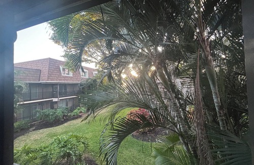 Marco Island Condo | Marco Island Monthly Rental, Renovated 2BR Townhome Pool Near Beach