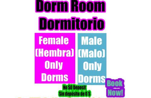 Allapattah Hostel | Miami International Hostel- Free Dinner - Best Price - No Mix - Dorms Airport Downtown Wynwood