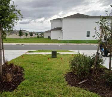 Poinciana House | Mickey & Wizard Cozy Get-away