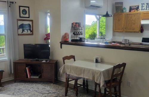 Rosman Apartment | Mountaintop suite, mountain views, one level, King bed, pet friendly, accessible