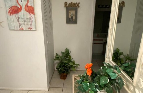 Bayview Apartment | Nautilus Cottage Beach