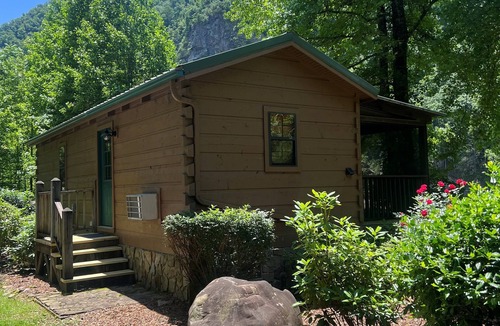 Erwin Cabin | Nolichucky Nook-Cozy, Riverfront Cabin!