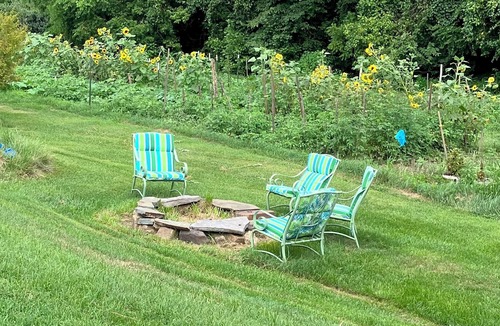 Lexington Cottage | Peaceful Gardenside cottage 5 minutes from downtown Lexington VA