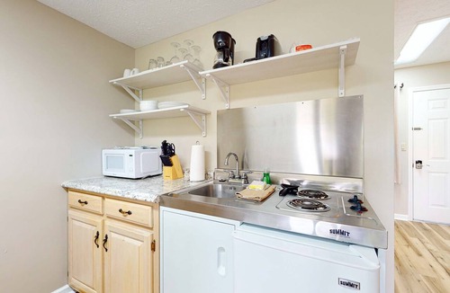 Baneberry Apartment | Peaceful Studio, Sleeps 4, Gym, Near Douglas Lake