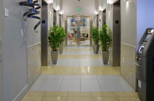 Brickell Apartment | Picturesque Apartment in Brickell With Pool