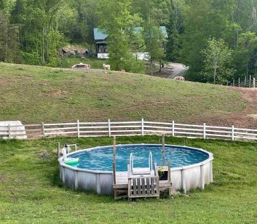 Madisonville Apartment | Pokeadot Cabin - Cozy Farm Stay with Pool & Firepit