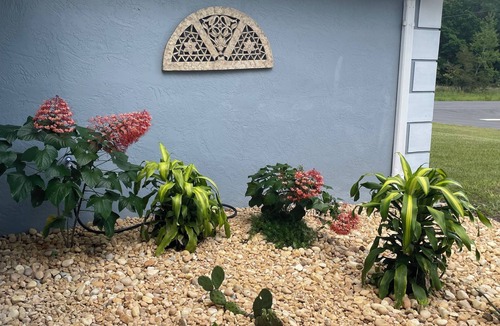 Citrus Springs House | Private 4 bedroom, Pool, near Rainbow Springs State Park and enclosed yard.