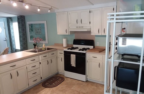 Dunnellon House | Private pool w/tropical Oasis setting and minutes to Rainbow River access
