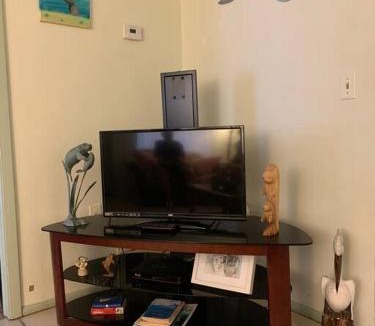 Crystal River Apartment | Professor Rousseau's Manatee Bay