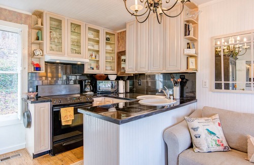 Otto Cottage | Quiet Secluded, Mountain view Cabin w/4 Private Falls & Trails!