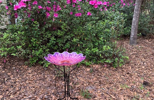 Tallahassee House | Relax in a country setting near the battlefield of Natural Bridge