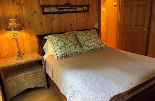 Wiley House | Ruby Cabin at Splendor Mountain