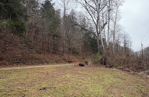 Speedwell RV Rental | RV/Camper Sites. No Electric
