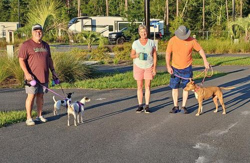 Gainesville Other | Santa Fe Palms RV Resort