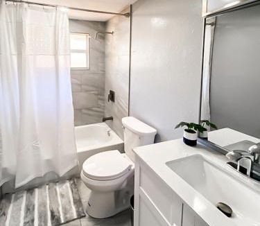North Sarasota House | Sarasota Modern, Spacious, Comfy, Queen Beds, Backyard Rental
