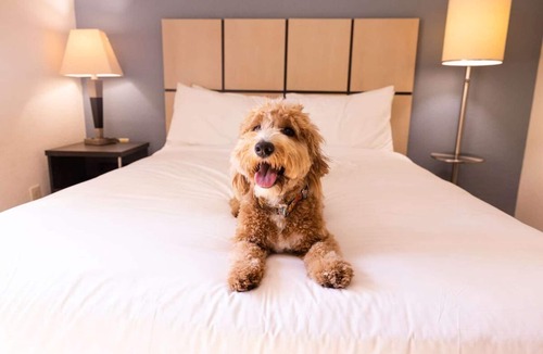 Baymeadows Resort | Serene Getaway in Jacksonville! Fully-equipped Kitchen, Pet-friendly Property!