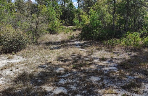 Edgar RV Rental | Soothing campground in Interlachen for a peaceful getaway