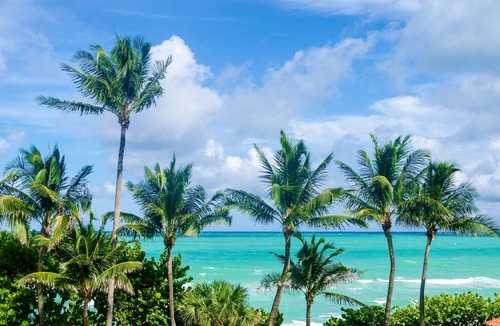 Weston Condo | South Florida in February