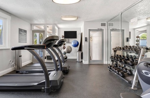 New Suburb Beautiful Apartment | South Tampa Apartment minutes away from Downtown, Dining and Entertainment
