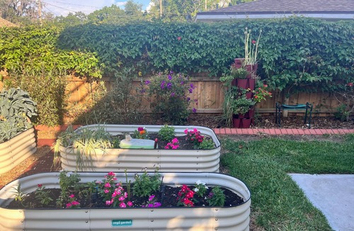 Sebring House | Spacious historic 4-bedroom pool house in Downtown Sebring